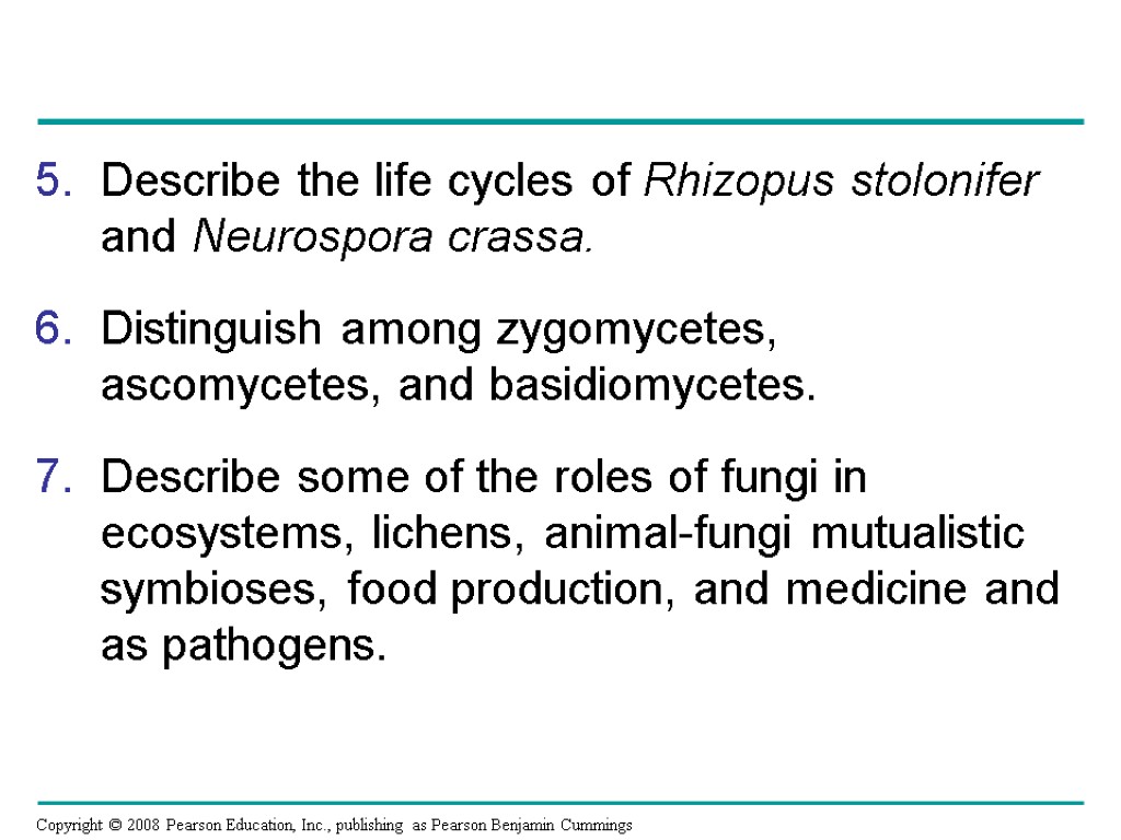 Describe the life cycles of Rhizopus stolonifer and Neurospora crassa. Distinguish among zygomycetes, ascomycetes,